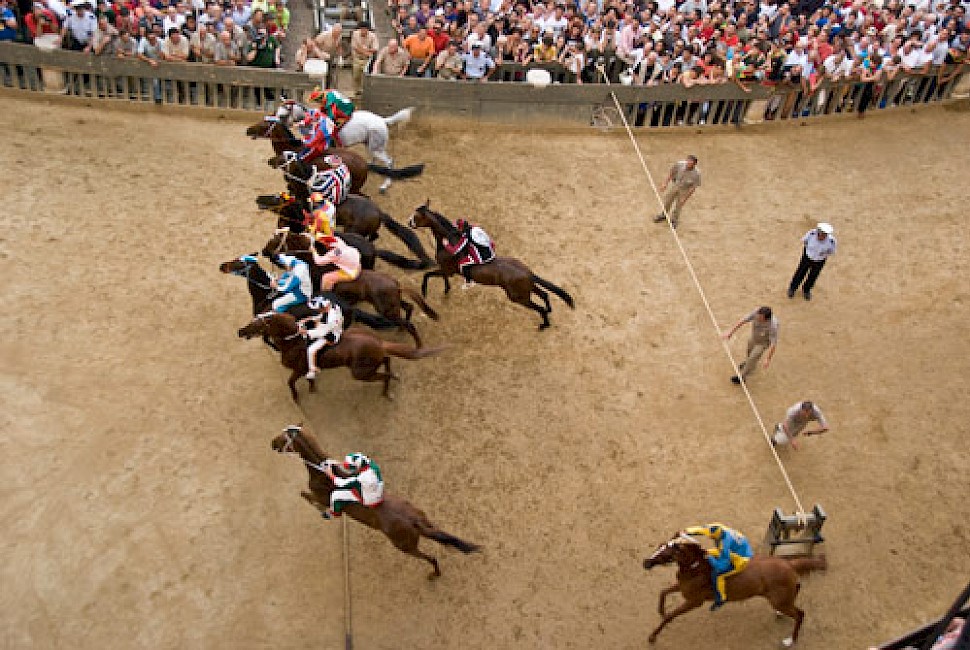 Palio Siena, the Mossa (start), as seen from one of my windows